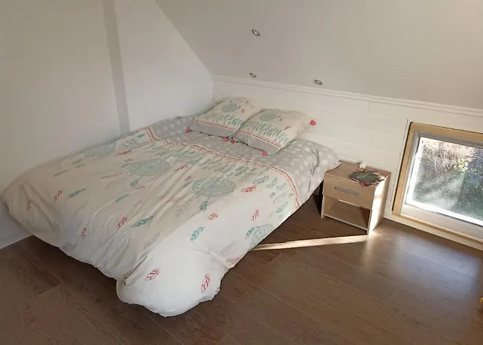 Bellevue 5min à Pieds Du Tram Vers Centre Ville-circuit * Le Mans